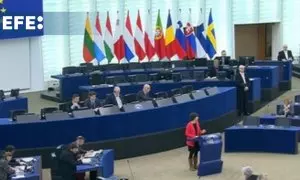 PP y PSOE se acusan de inacción en el Parlamento Europeo por el vertido de 'pellets'