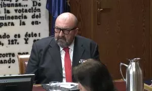Koldo García, en su comparecencia en la comisión del Senado por la compra de mascarillas en la pandemia