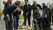 Los perros guía podrán entrar en espacios públicos en Madrid