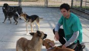 La Diputación de Zaragoza recupera y da en adopción más de 500 perros abandonados