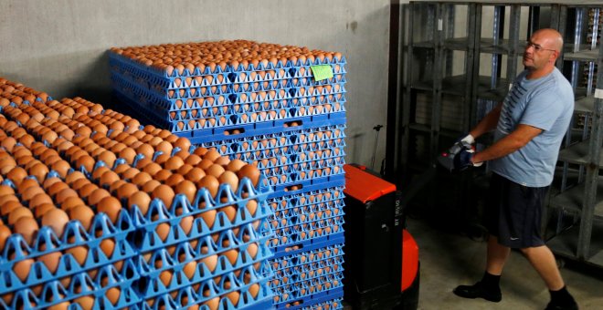 Inmovilizan en Bizkaia una partida de 22.000 huevos contaminados con fipronil