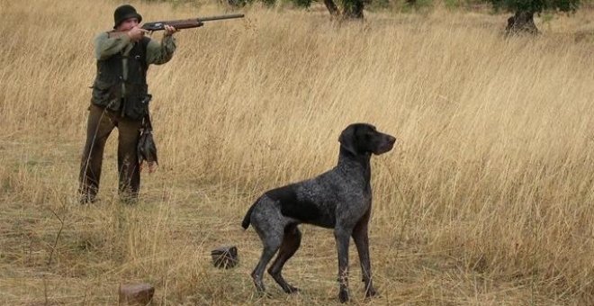 Críticas a la Junta de Castilla-La Mancha por excluir a los perros de caza de la Ley de Bienestar Animal