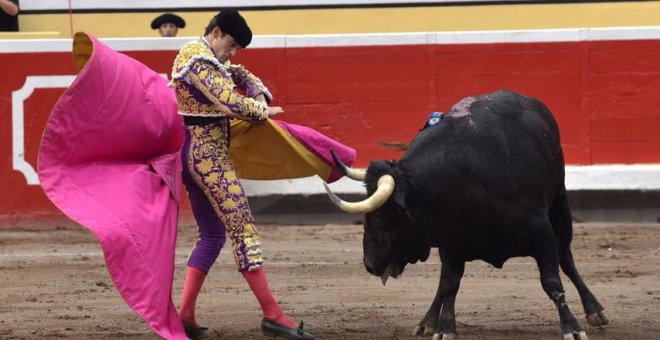 En el Día mundial de los animales, Podemos, el único partido que pide el fin de las corridas de toros