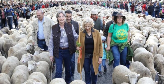 Un rebaño de 600 ovejas "bomberas" se instala en la Casa de Campo de Madrid