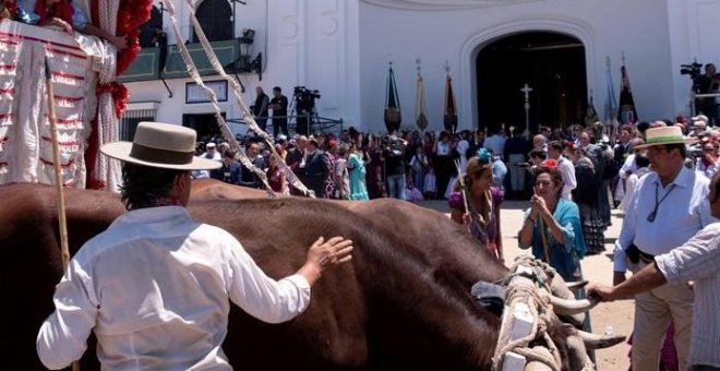 Siete caballos muertos durante El Rocío de Huelva