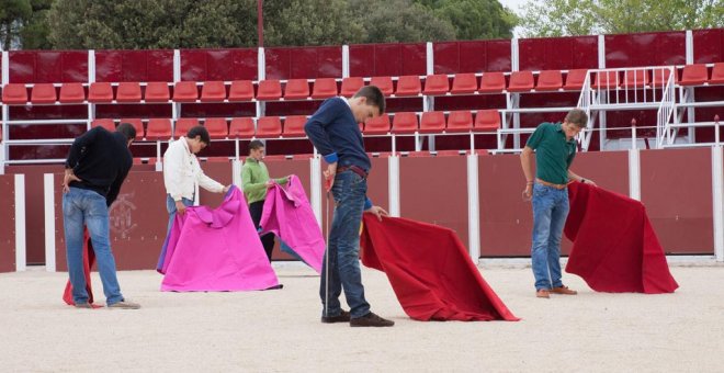 Almeida recuperará el uso de toros, vaquilla y caballos en la escuela municipal de tauromaquia de Madrid