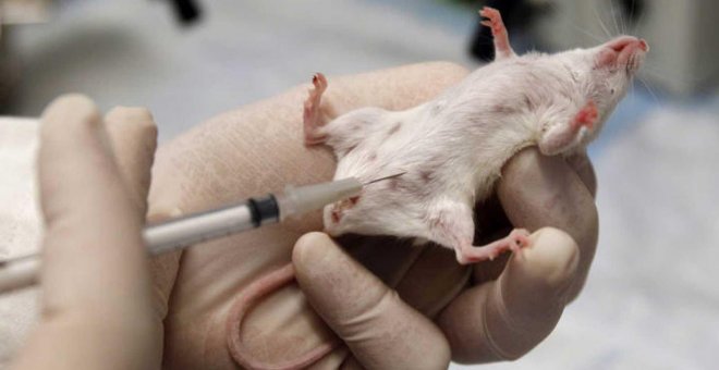Estados Unidos abandonará dentro de 16 años los experimentos con animales