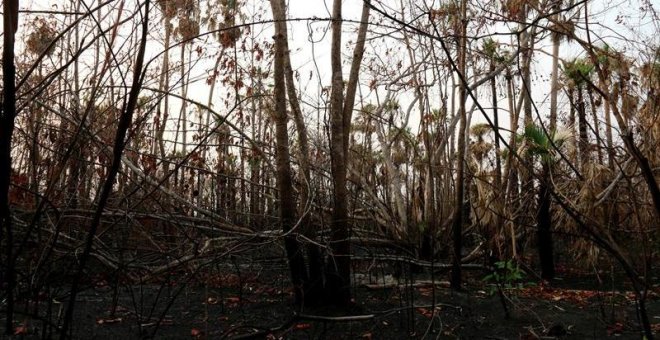 Los incendios en los bosques de Paraguay han calcinado más de 300.000 hectáreas