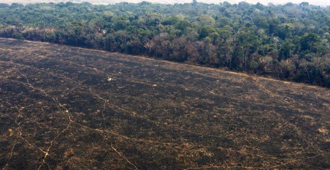 La Amazonia acumuló en 2019 la tercera cifra más alta de incendios desde que se registran