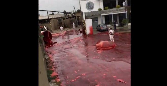 Una calle argentina se llena de 500.000 litros de sangre animal al romperse el depósito de un matadero