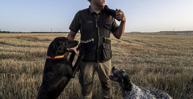 El PSOE quiere excluir a los perros de caza de la Ley de Bienestar Animal impulsada por Unidas Podemos