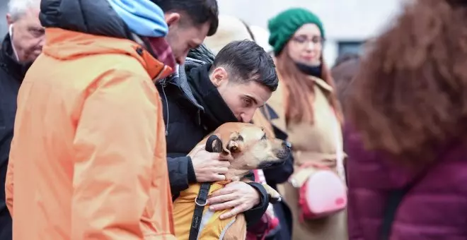Movilizaciones en 27 ciudades españolas para incluir a los perros de caza en la ley de Protección Animal
