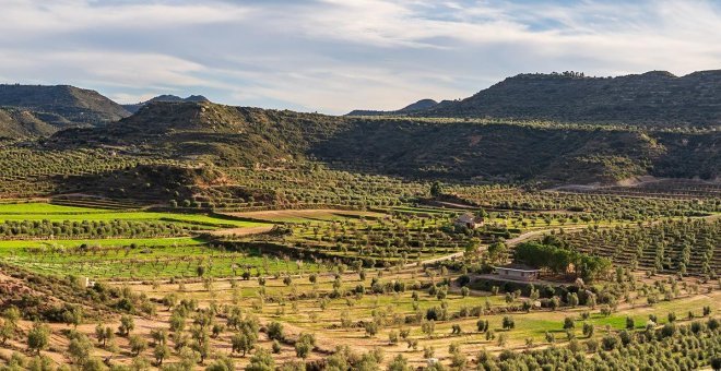 Set propostes per descobrir les Garrigues, la terra verge extra de Catalunya