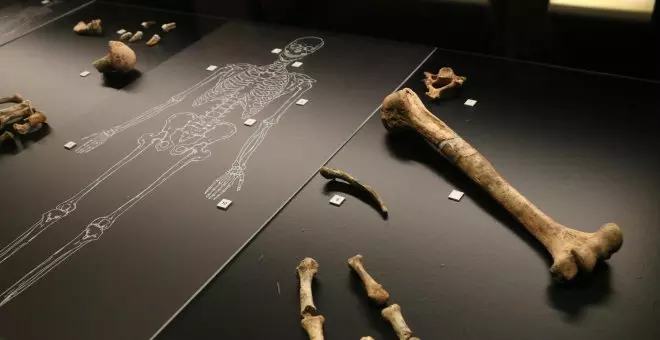 Identifiquen 54 restes neandertals de fa més de 50.000 anys a la Cova Simanya