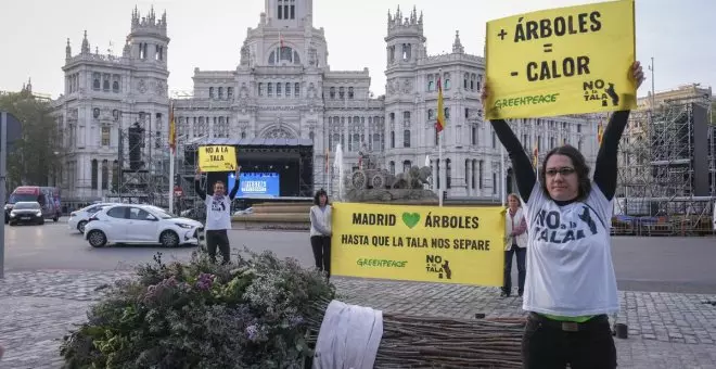 Greenpeace le brinda a Almeida un ramo de boda hecho con árboles talados en Madrid