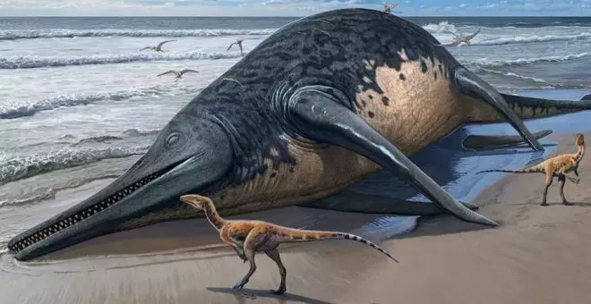 Una niña y su padre hallan en una playa el fósil de un gigantesco reptil marino