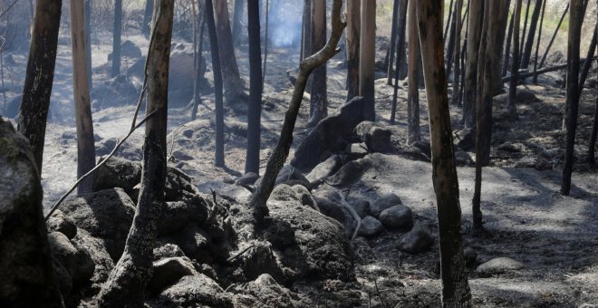 L'augment dels incendis forestals demana noves estratègies de prevenció