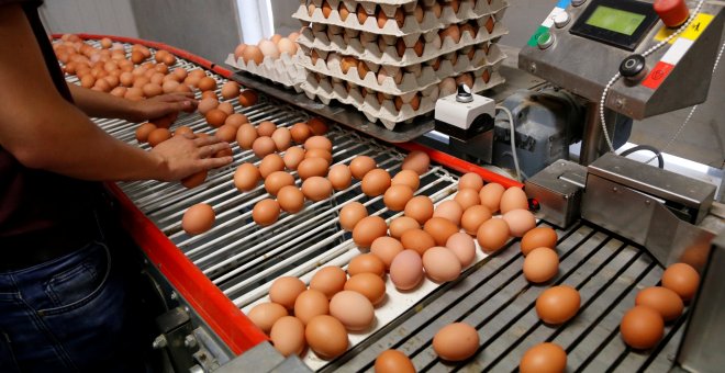 Los expertos afirman que no hay "peligro" real por los huevos contaminados