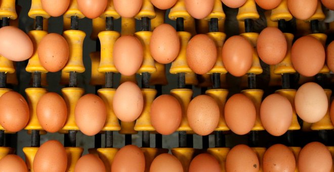 Sanidad asegura que España no está afectada por los huevos contaminados tras la retirada de una partida en el País Vasco