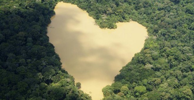 50 ONG denuncian que el segundo mayor bosque tropical del mundo está en peligro