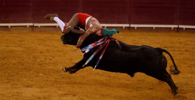 El Parlamento de Portugal decide este viernes si suprime o no las corridas de toros