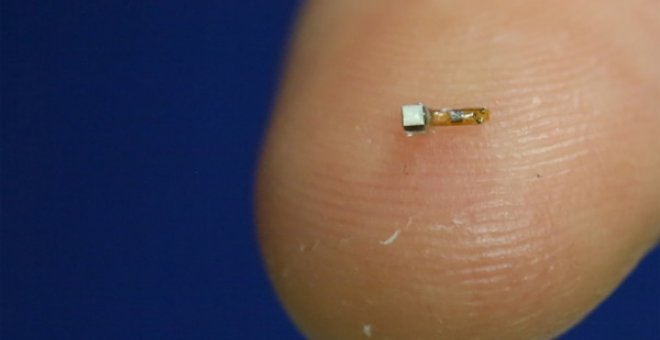 ¿Te implantarías un chip en el cerebro?