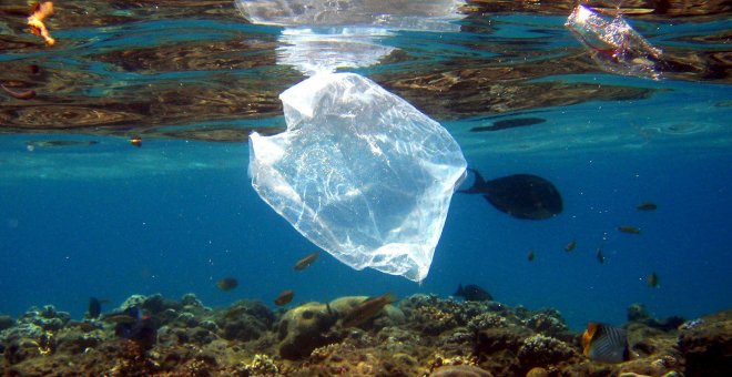 Nueva Zelanda prohíbe la venta de bolsas de plástico de un solo uso