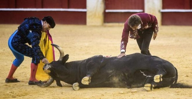 La crueldad hacia los toros repunta durante el verano en tierras valencianas