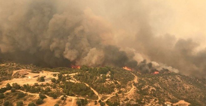 L'incendi de la Ribera d'Ebre es converteix en el més greu en 20 anys i pot arribar a cremar 20.000 hectàrees
