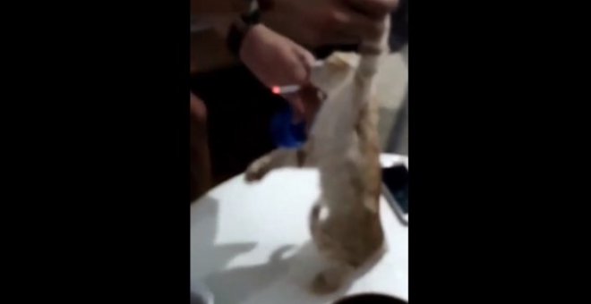 La Guardia Civil investiga a dos personas por el vídeo en el que obligaban a fumar a un gato
