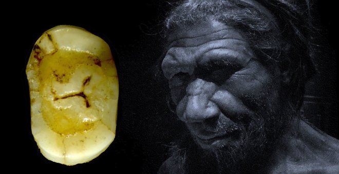 El premolar neandertal de la cueva del Castillo, pieza del mes del MUPAC