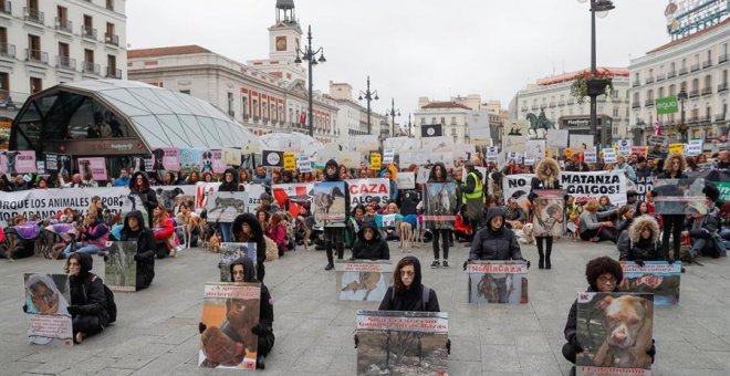 Miles de personas salen a la calle en toda España para pedir una ley que proteja a los perros de caza