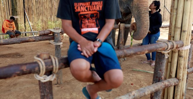 Elefantes hambrientos, las otras víctimas de la covid-19 en Tailandia