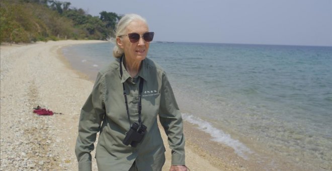 Jane Goodall: "Nuestra falta de respeto a los animales ha causado la pandemia de coronavirus"