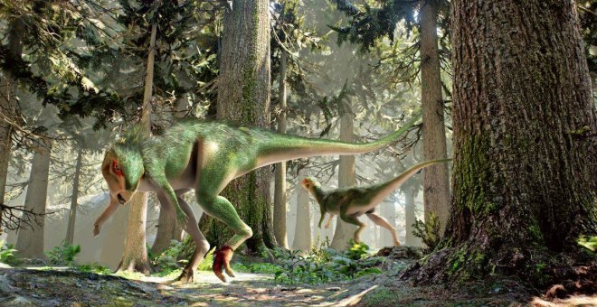 El dinosaurio que cojeaba hace 150 millones de años