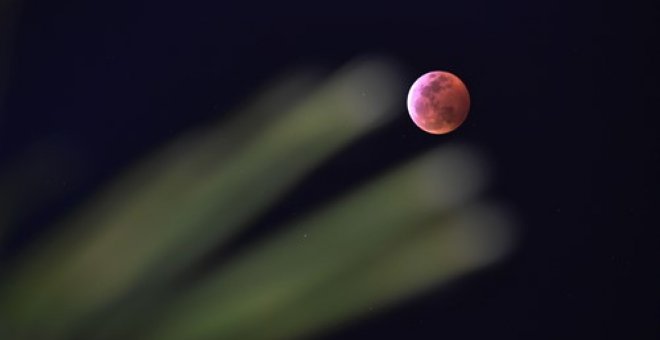 Así será el eclipse de 'luna de fresa'