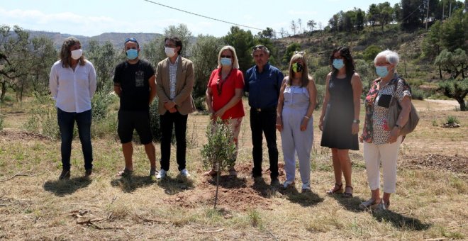 Els municipis afectats pel gran incendi de la Ribera d'Ebre reclamen més mesures de suport un any després de la catàstrofe