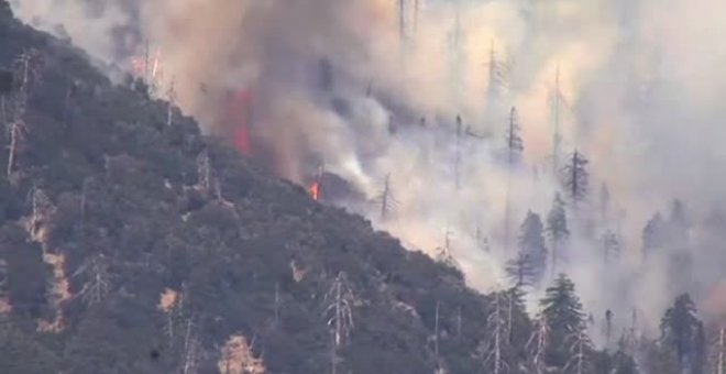 Cerca de 8.000 evacuados por un incendio forestal en California