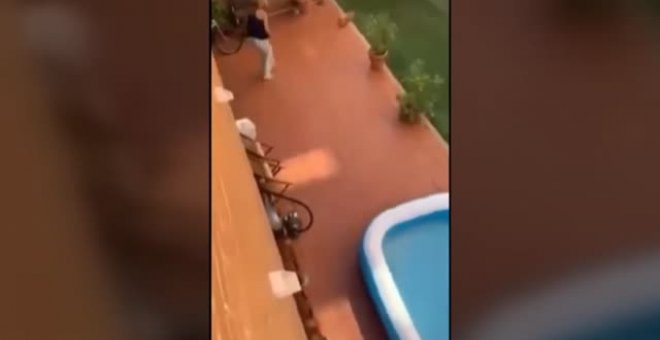 Una vecina graba y denuncia la agresión contra un perro en Sevilla