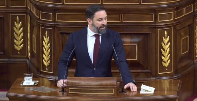 Abascal: "Ninguno de los MENA que roban y violan en la Casa de Campo han venido a aportar nada a España"