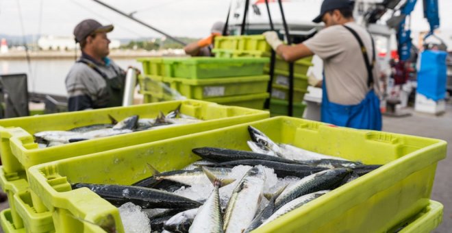 Aprobada por unanimidad la Ley de Pesca Marítima, Marisqueo y Acuicultura