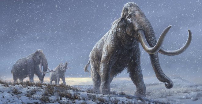Otras miradas - El ADN más antiguo jamás secuenciado revela claves de la evolución de los mamuts