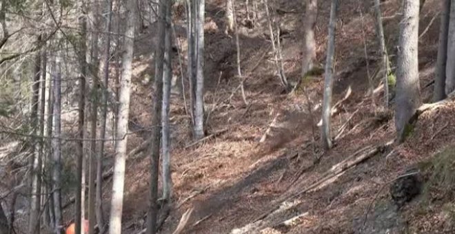 Curioso expermento en la montaña suiza de caída de rocas de más de 3.000 kilos