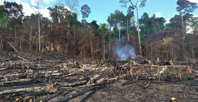 Las negligencias medioambientales de Bolsonaro le atrapan en la cumbre del clima de Biden
