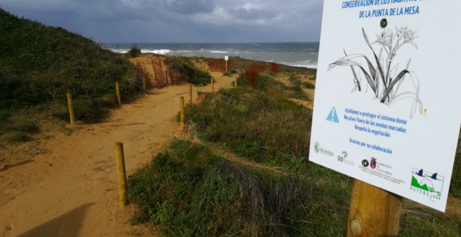 La senda costera de la Punta de la Mesa protagoniza una nueva ruta organizada por SEO/BirdLife