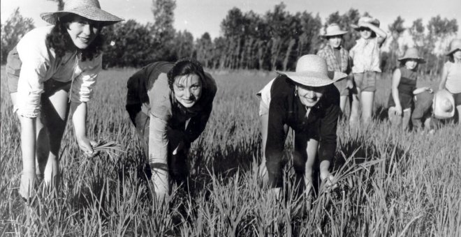 Los arrozales que defendieron las obreras italianas