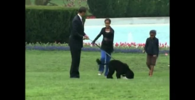 Muere Bo, el célebre perro de aguas del expresidente Barack Obama