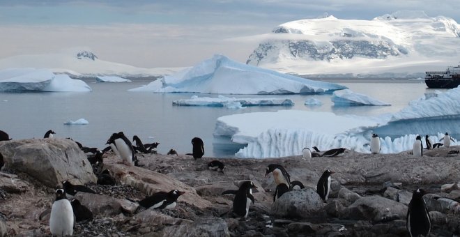 La Antártida registra la menor extensión de hielo de su historia
