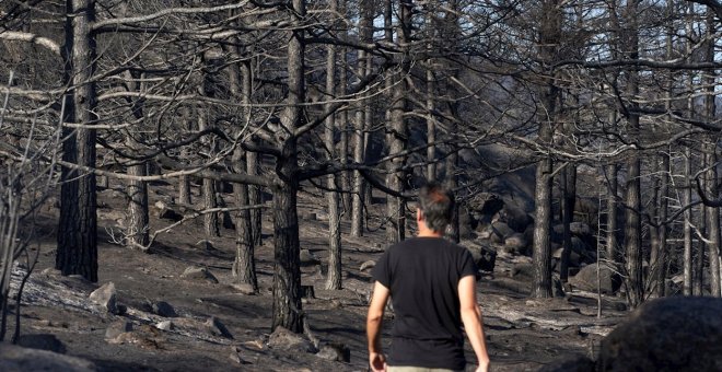 Estabilizado el incendio de Ávila, que todavía sigue activo aunque ya sin llamas