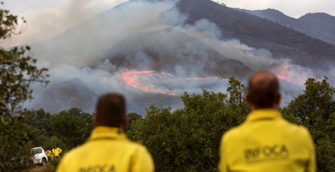 El fuego de Sierra Bermeja deja decenas de ciervos, corzos y jabalíes carbonizados